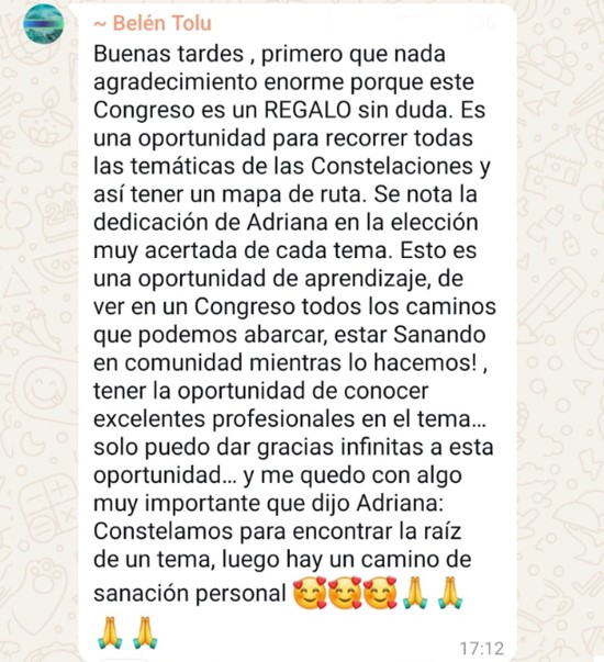 opiniones-congreso-constalaciones-familiares-3